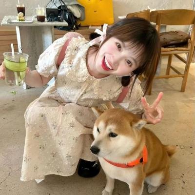 我爱灰太狼